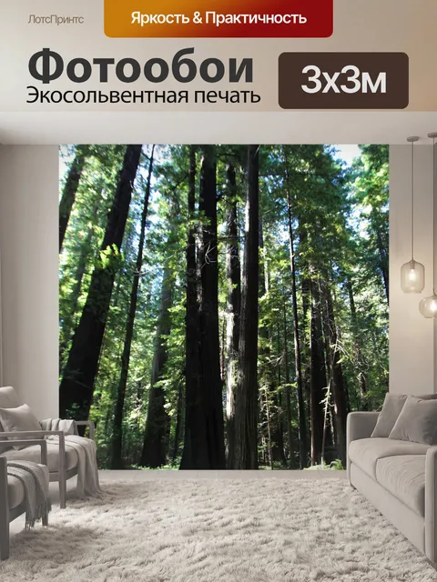 Фотообои Мох