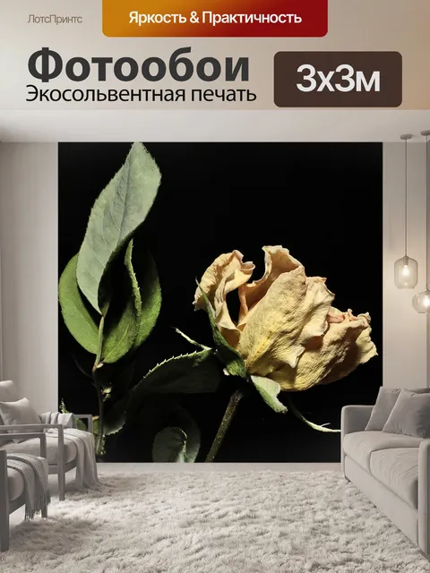 Фотообои Розовый сухой