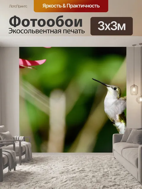 Фотообои Колибри