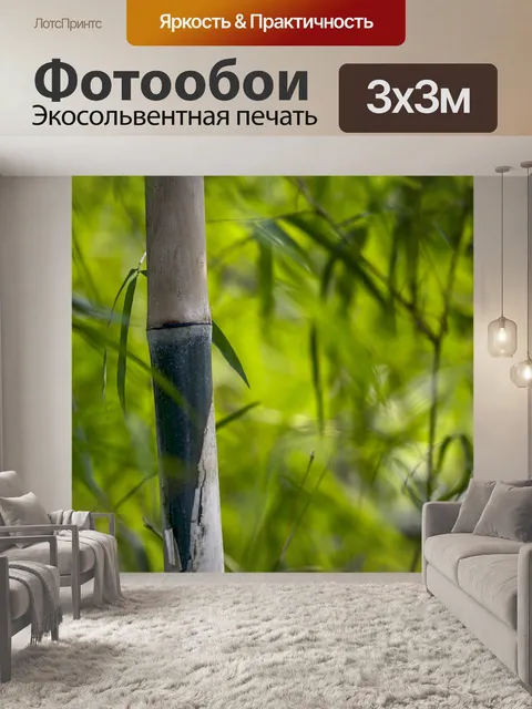 Фотообои Стебель бамбука
