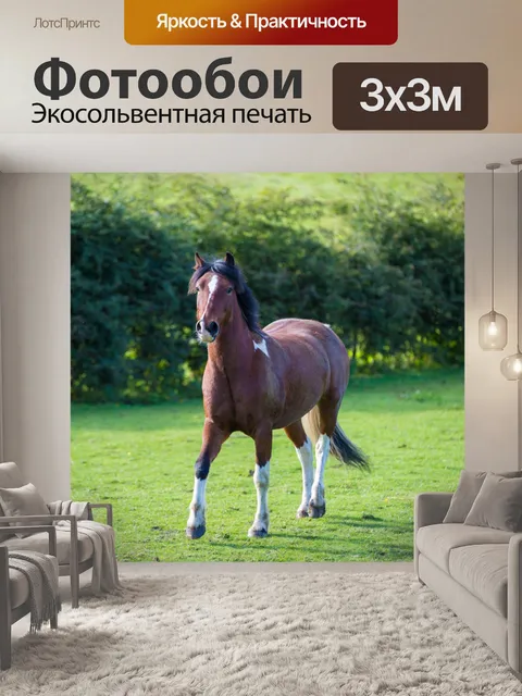 Фотообои лошадь