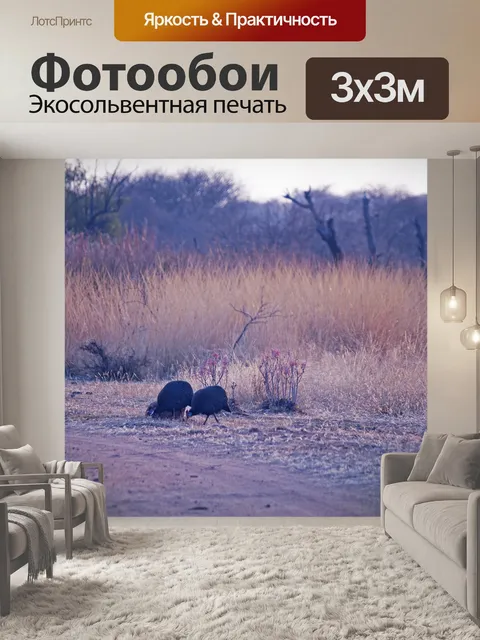 Фотообои цесарка рядом с грунтовой дорогой
