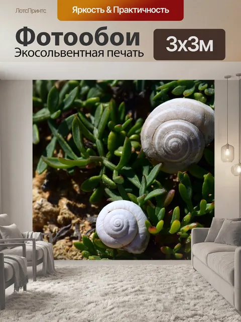 Фотообои Пляж