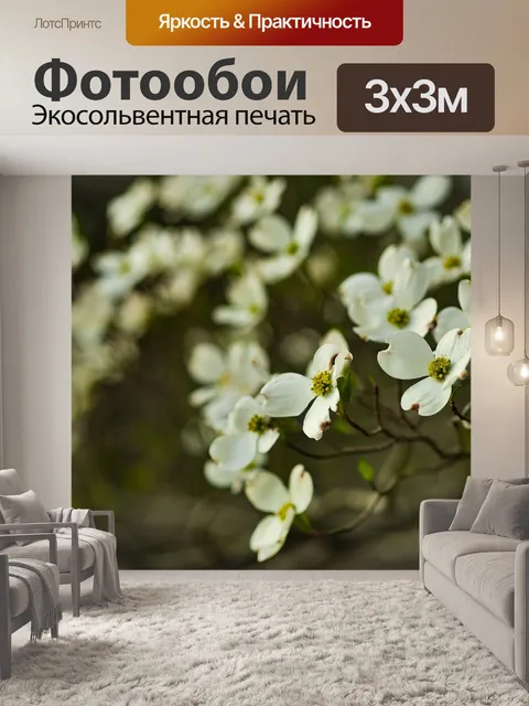 Фотообои Белый