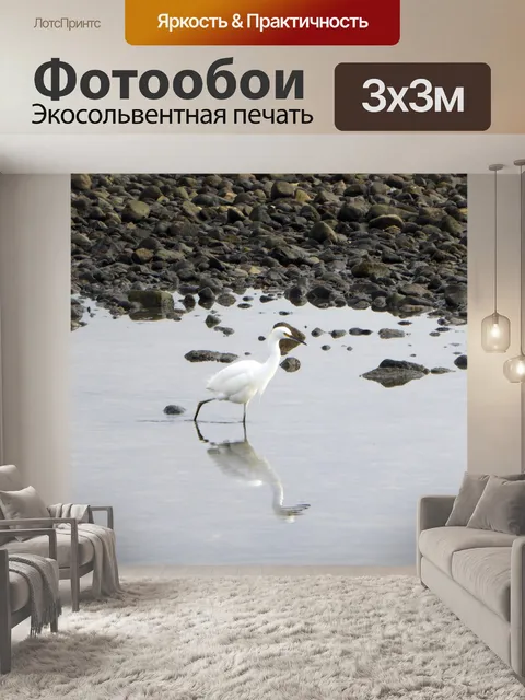 Фотообои Цапля на пляже