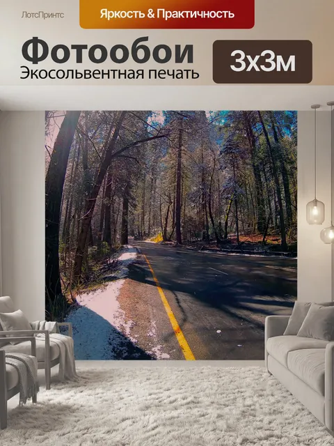 Фотообои Шоссе через заснеженный лес