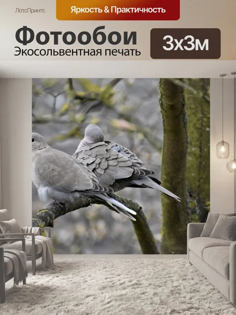 Фотообои Птицы