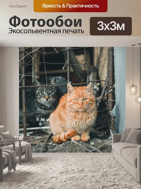 Фотообои Кошки