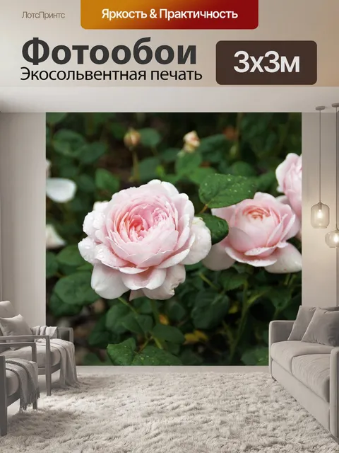 Фотообои Розы