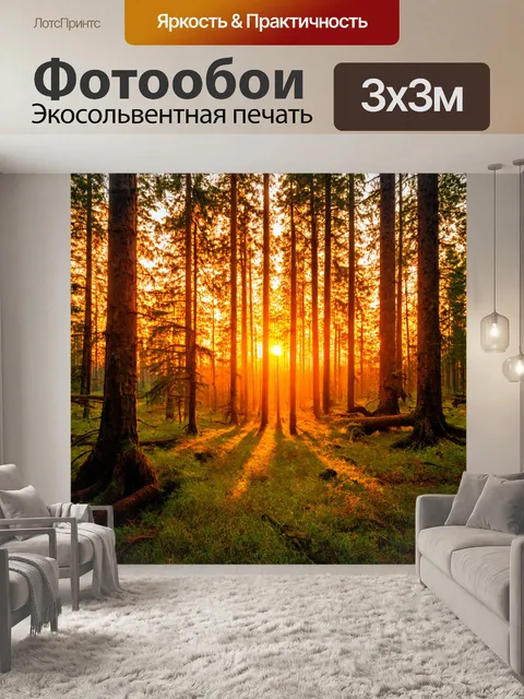 Фотообои лес с яркими оранжевыми закатами, которые освещают лес