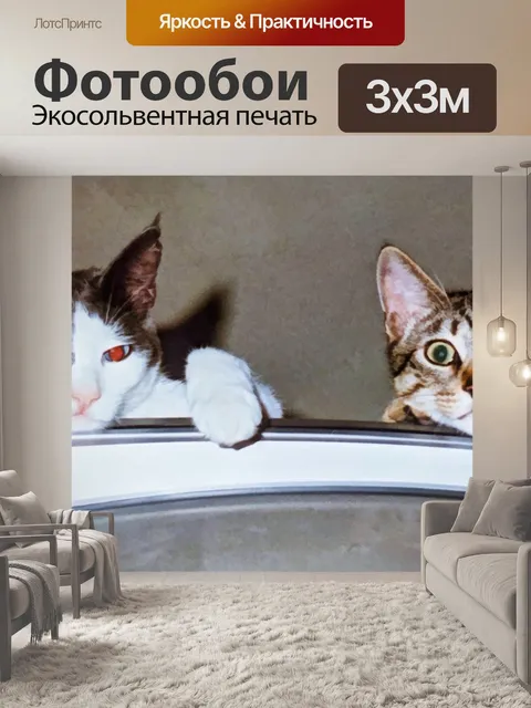 Фотообои Кошки на телевизоре