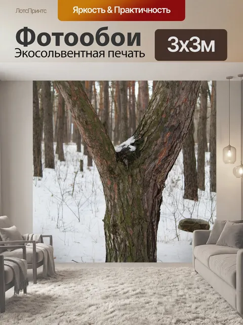 Фотообои Деревья