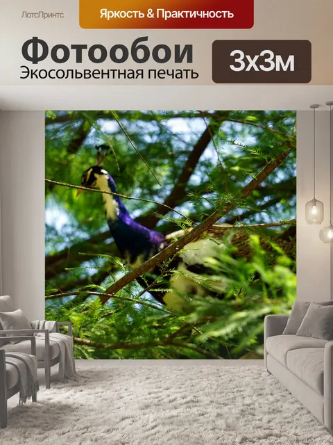 Фотообои Птица