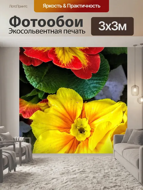 Фотообои Цветы