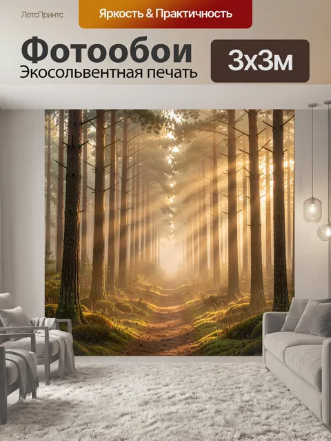 Фотообои Солнечная лесная тропа в соснах