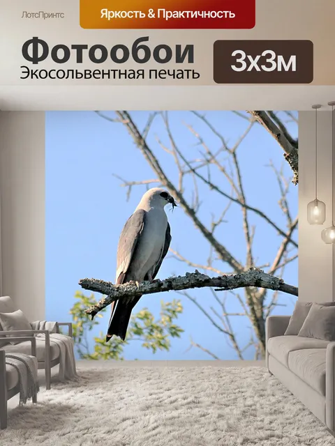 Фотообои Миссисипи