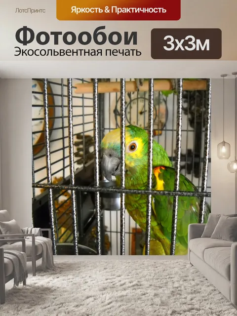 Фотообои Попугай в клетке
