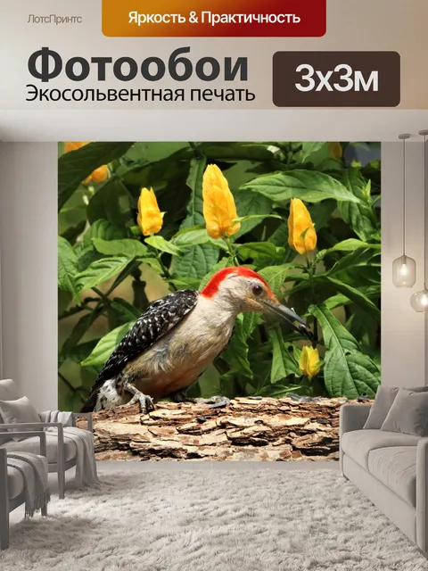 Фотообои Дятел и желтые цветы