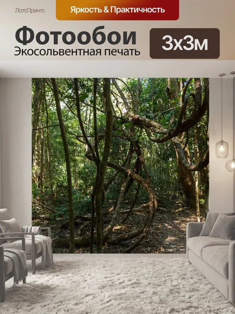 Фотообои Джунгли