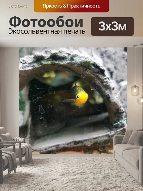 Фотообои Аквариум Плати