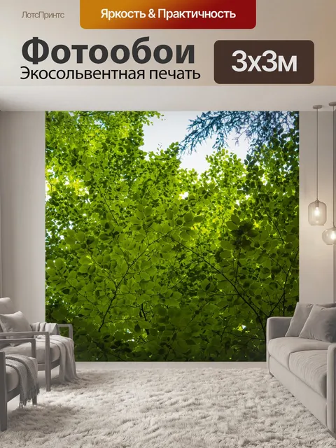 Фотообои Лес