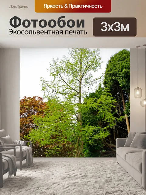 Фотообои Дерево