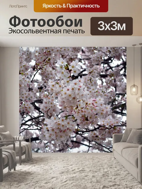Фотообои Цветок