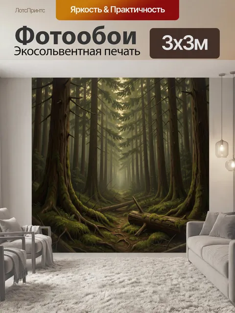 Фотообои Туманный хвойный лес