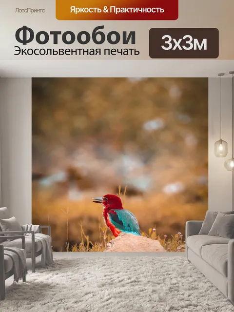 Фотообои Птица
