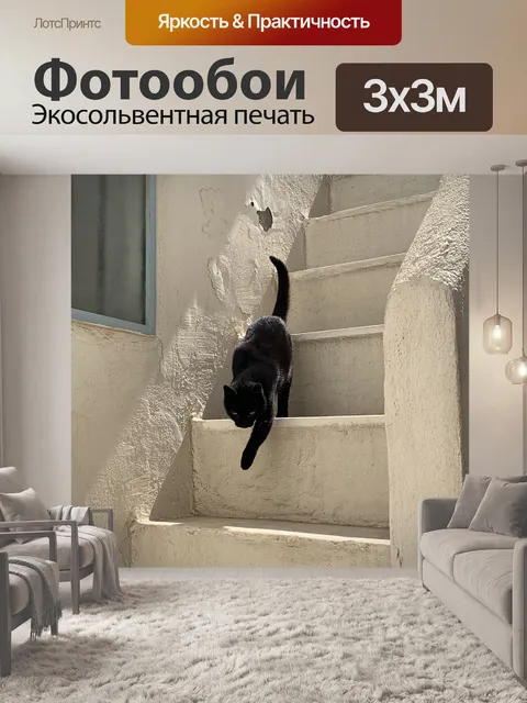 Фотообои Черный кот