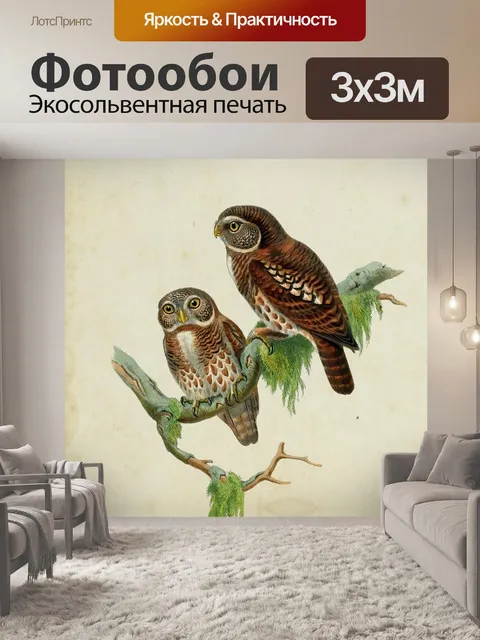 Фотообои Сова Винтаж Арт Принт