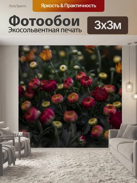 Фотообои Осенние цветные цветы