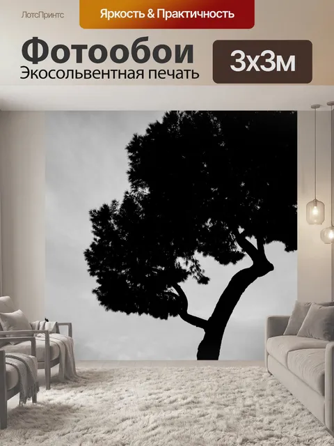 Фотообои Парк