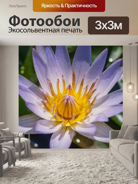 Фотообои красивый цветок лотоса