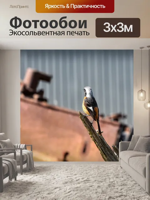 Фотообои Животное