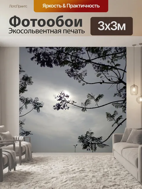 Фотообои Солнце