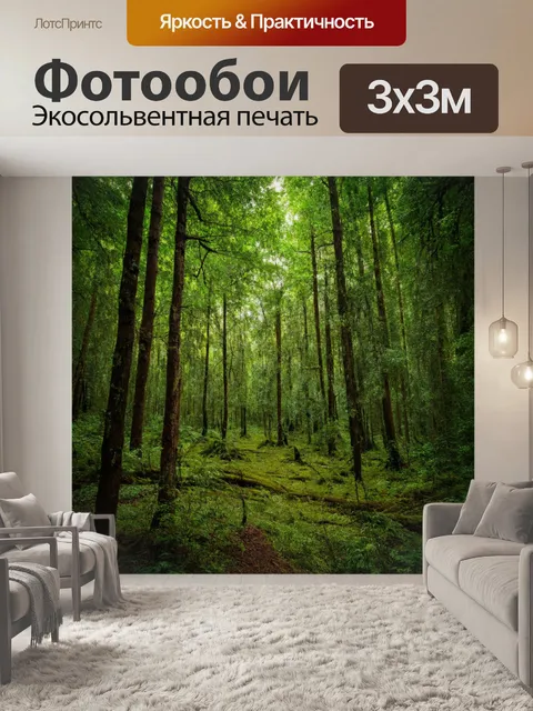 Фотообои старинный и экзотический лес с таинственными звуками и шорохами
