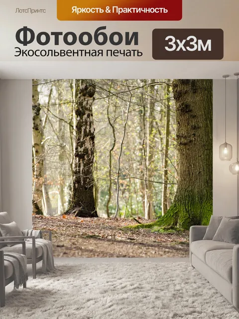 Фотообои Деревья