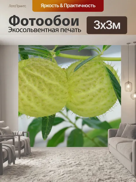 Фотообои Красивый цветок