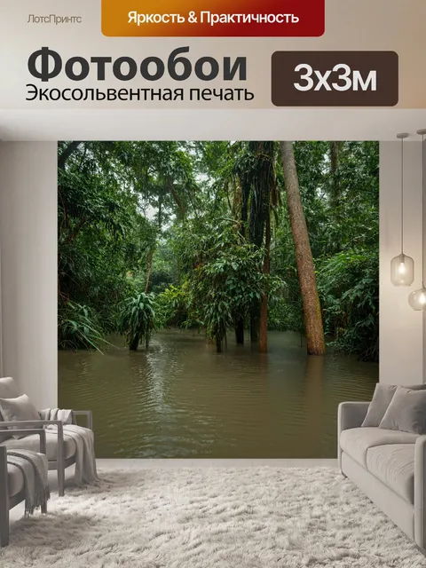 Фотообои сцена затопления джунглей после сильного дождя, показывающая, как природа адаптируется к изменениям