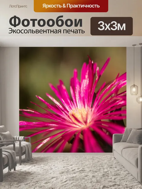 Фотообои Цветы листья