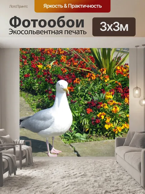 Фотообои Чайки