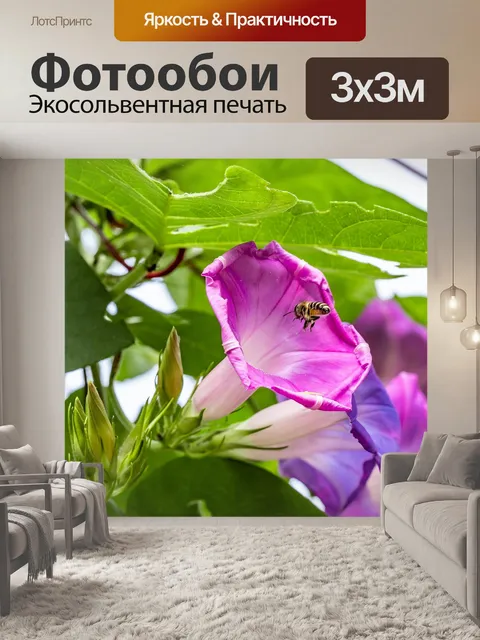Фотообои Цветы