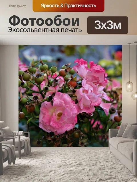 Фотообои Роза