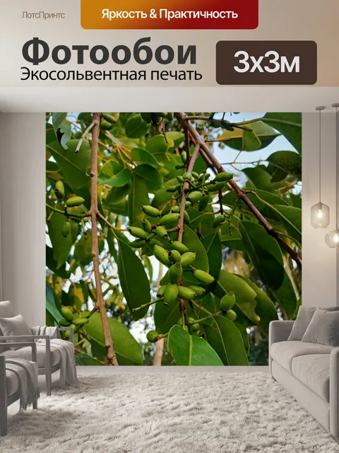 Фотообои Листья