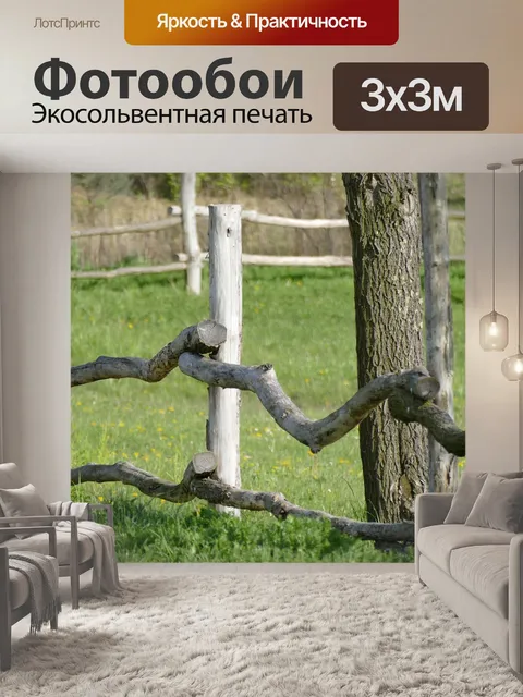 Фотообои Изгородь