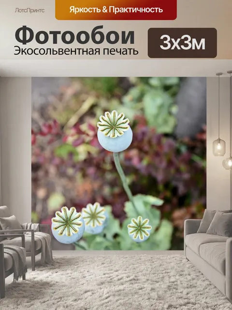 Фотообои Цветы