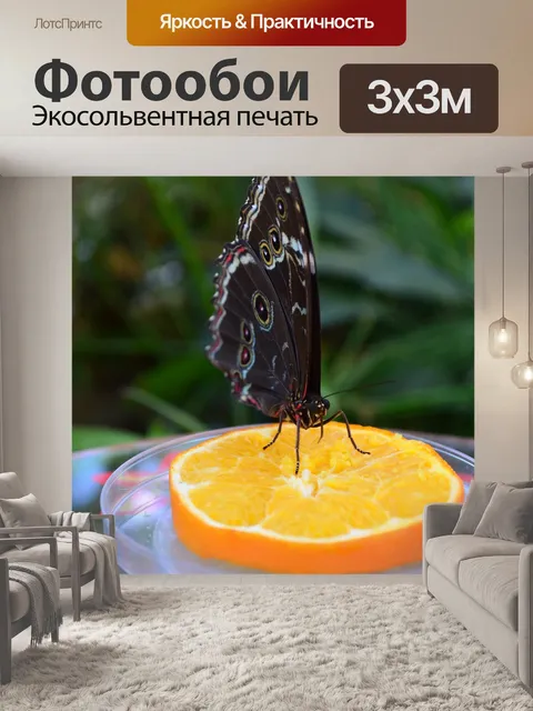 Фотообои Бабочка