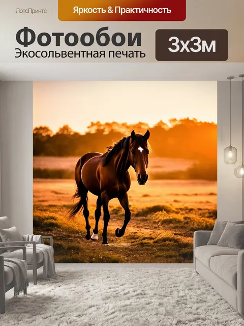 Фотообои лошадь, медленно шагающая на закате