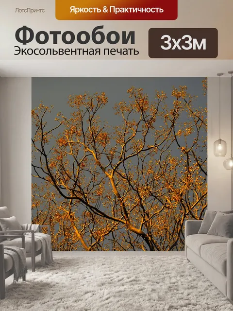 Фотообои гевея дерево в странном свете